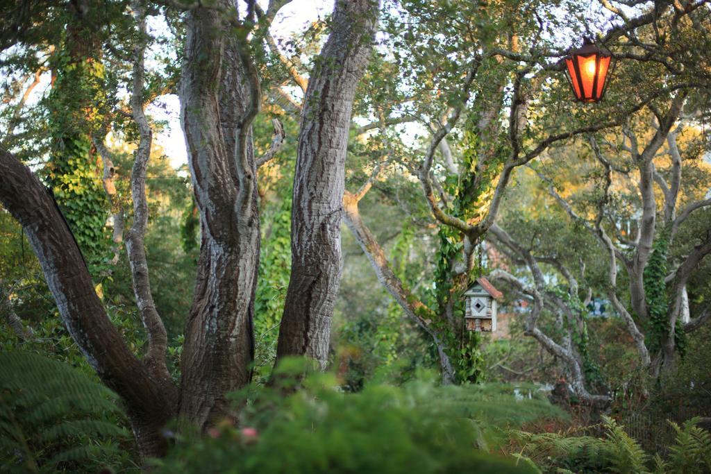 Old Monterey Inn Экстерьер фото